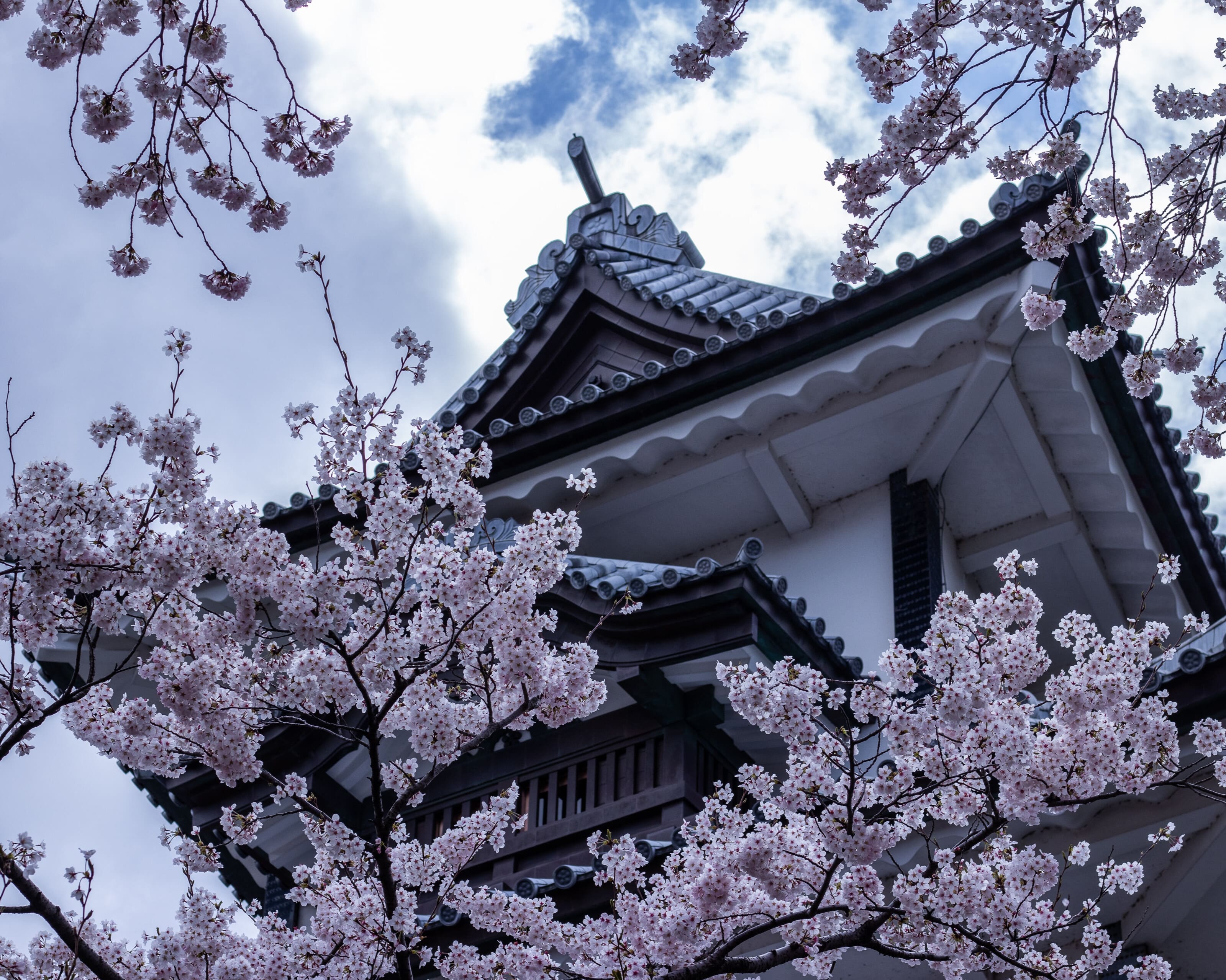 Japón Esencial con Maldivas